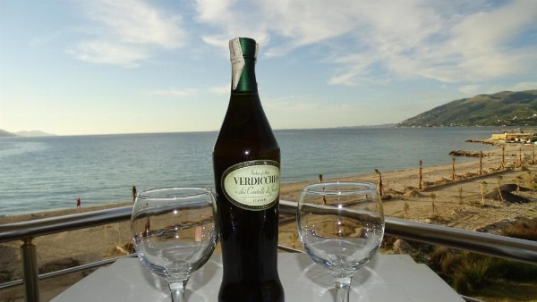 Hotel Alba-Gert image 8