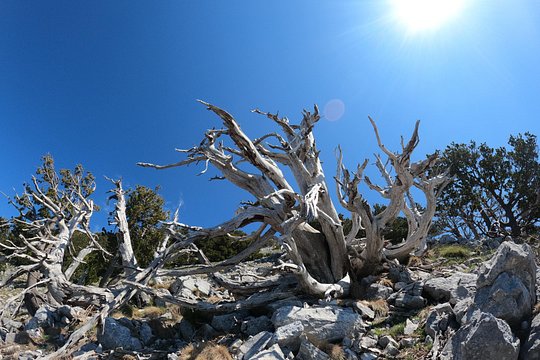 Tour image 4